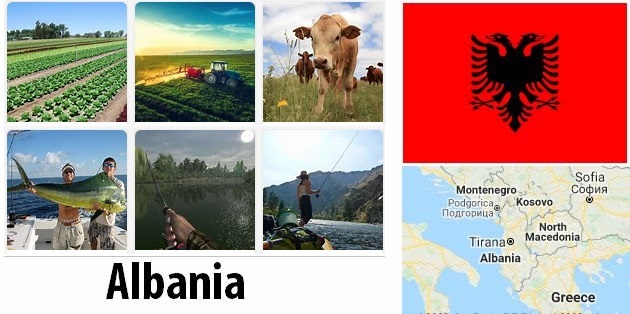 Agriculture and fishing of Albania