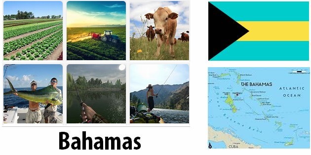 Agriculture and fishing of Bahamas