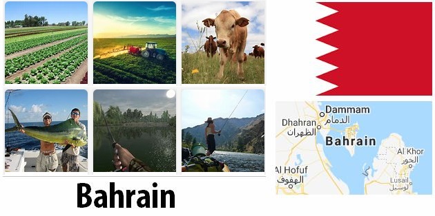 Agriculture and fishing of Bahrain