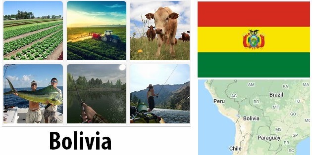 Agriculture and fishing of Bolivia