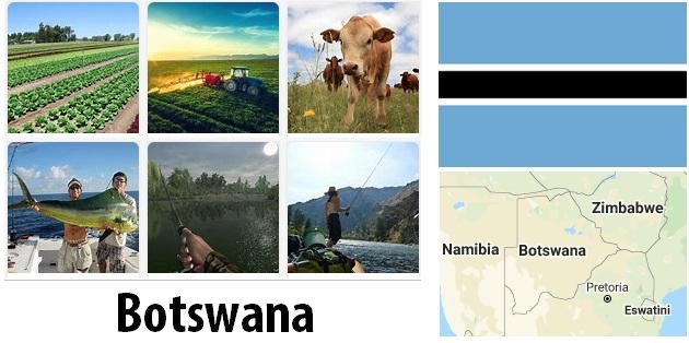 Agriculture and fishing of Botswana