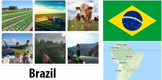 Agriculture and fishing of Brazil