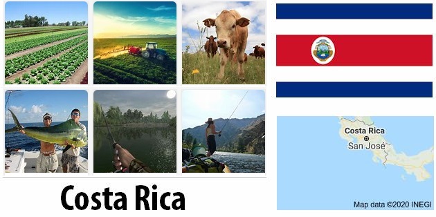 Agriculture and fishing of Costa Rica