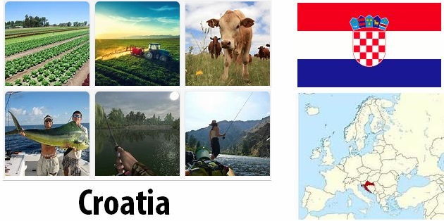 Agriculture and fishing of Croatia