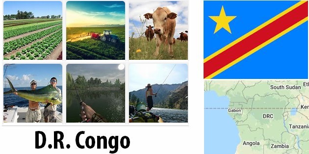 Agriculture and fishing of Democratic Republic of the Congo