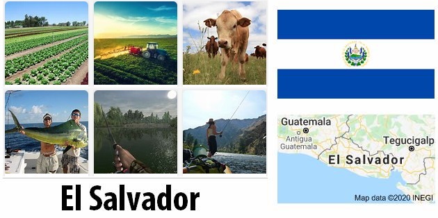 Agriculture and fishing of El Salvador