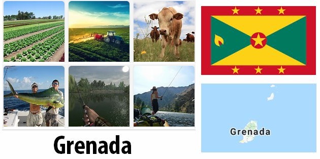 Agriculture and fishing of Grenada