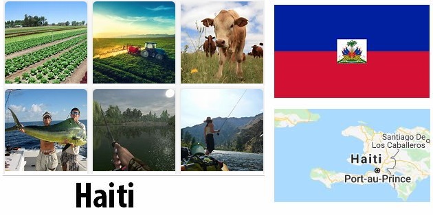 Agriculture and fishing of Haiti