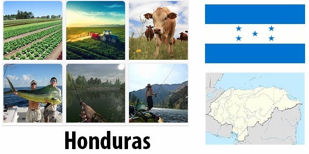Agriculture and fishing of Honduras