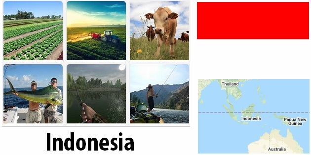 Agriculture and fishing of Indonesia