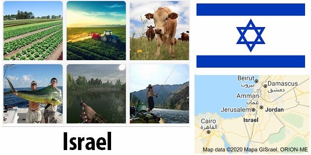Agriculture and fishing of Israel