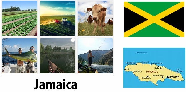 Agriculture and fishing of Jamaica
