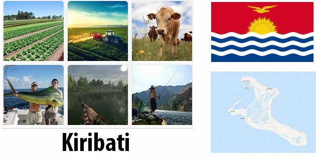 Agriculture and fishing of Kiribati