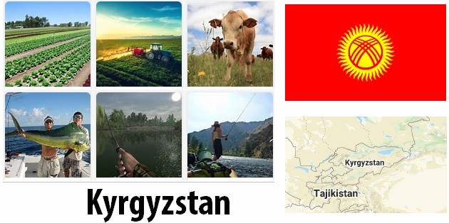 Agriculture and fishing of Kyrgyzstan