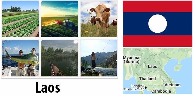 Agriculture and fishing of Laos