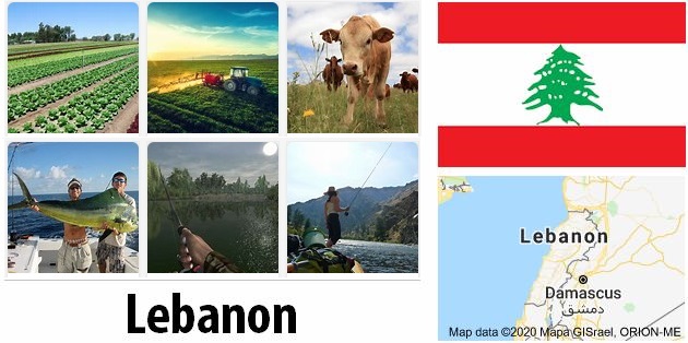 Agriculture and fishing of Lebanon