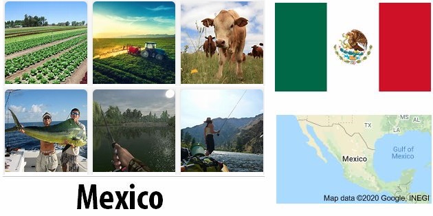 Agriculture and fishing of Mexico