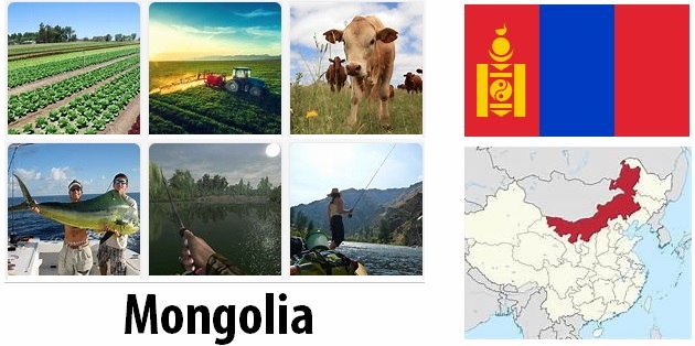 Agriculture and fishing of Mongolia