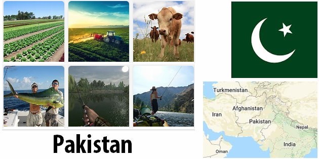 Agriculture and fishing of Pakistan