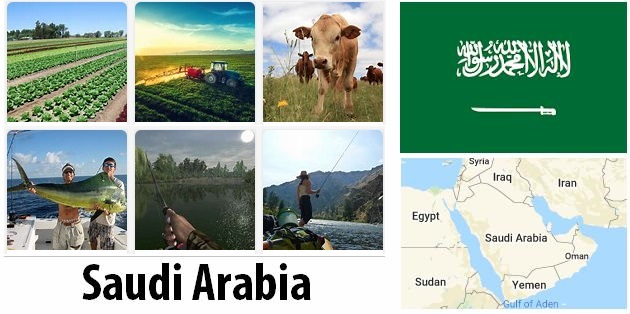 Agriculture and fishing of Saudi Arabia