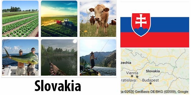 Agriculture and fishing of Slovakia
