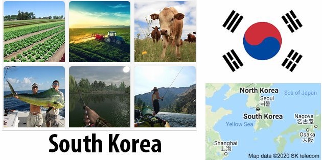 Agriculture and fishing of South Korea