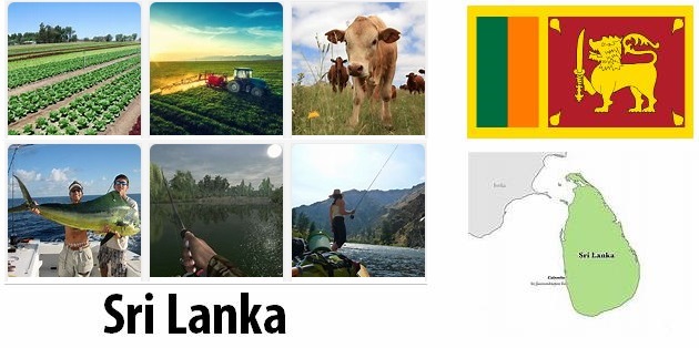 Agriculture and fishing of Sri Lanka