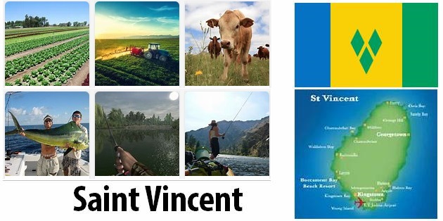 Agriculture and fishing of St. Vincent