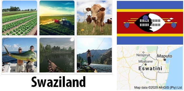 Agriculture and fishing of Swaziland