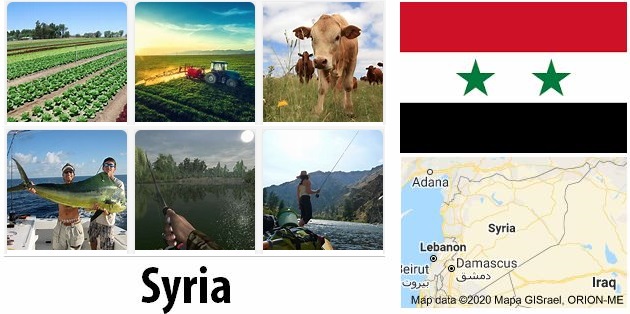 Agriculture and fishing of Syria