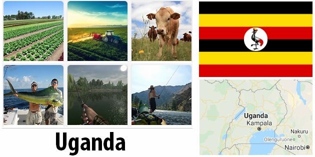 Agriculture and fishing of Uganda