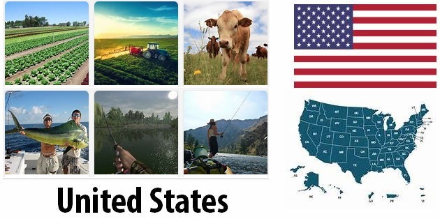 Agriculture and fishing of United States