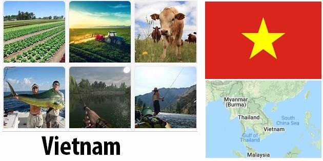 Agriculture and fishing of Vietnam