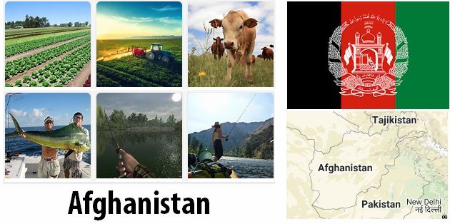 Afghanistan Agriculture and Fishing