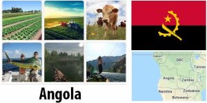 Angola Agriculture and Fishing