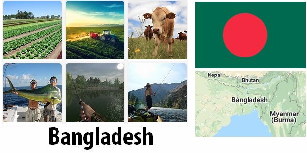 Bangladesh Agriculture and Fishing