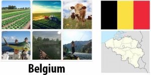 Belgium Agriculture and Fishing