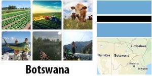 Botswana Agriculture and Fishing