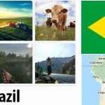 Brazil Agriculture and Fishing Overview