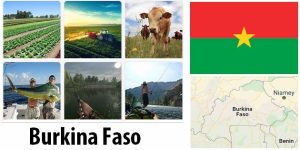 Burkina Faso Agriculture and Fishing