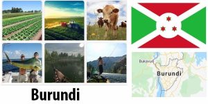 Burundi Agriculture and Fishing