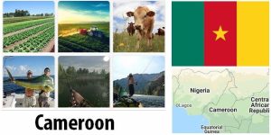 Cameroon Agriculture and Fishing