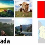 Canada Agriculture and Fishing Overview