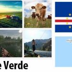 Cape Verde Agriculture and Fishing Overview