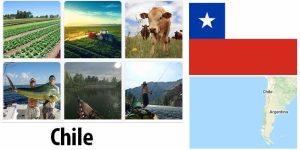 Chile Agriculture and Fishing
