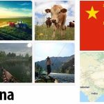 China Agriculture and Fishing Overview