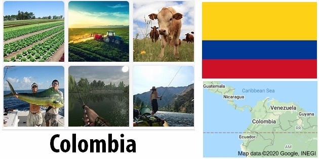 Colombia Agriculture and Fishing