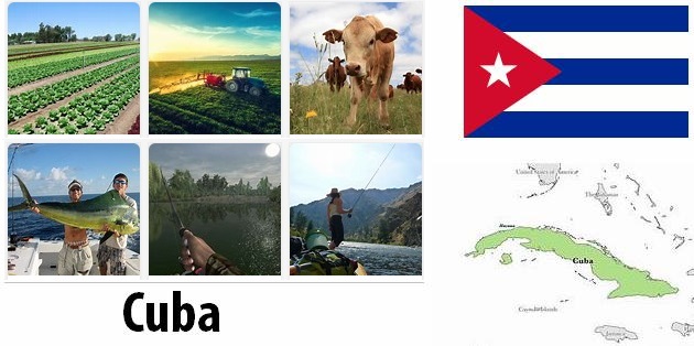 Cuba Agriculture and Fishing