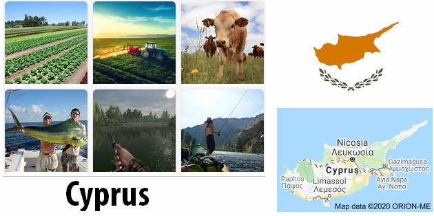 Cyprus Agriculture and Fishing
