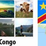 Democratic Republic of the Congo Agriculture and Fishing Overview